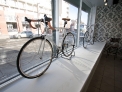 Window Display 01