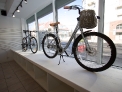 Window Display 02